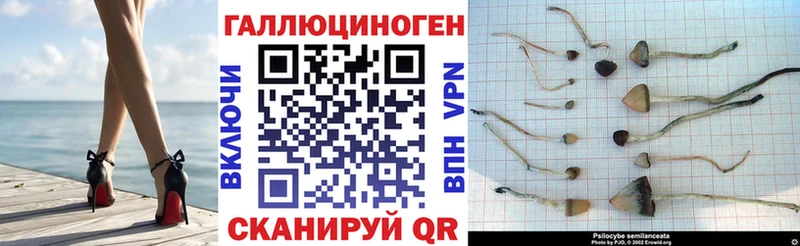 Псилоцибиновые грибы Magic Shrooms  Гаджиево 